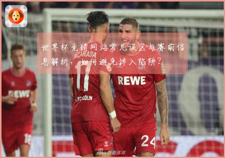 世界杯竞猜网站常见误区与赛前信息解析，如何避免掉入陷阱？