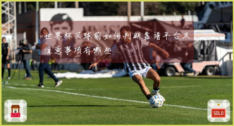 世界杯买球前如何判断靠谱平台及注意事项有哪些