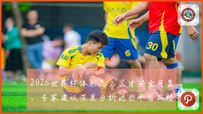 2026世界杯体彩怎么买才安全可靠，专家建议深度分析这些平台风险
