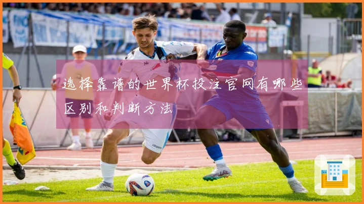 选择靠谱的世界杯投注官网有哪些区别和判断方法