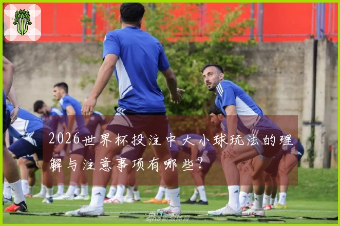 2026世界杯投注中大小球玩法的理解与注意事项有哪些？