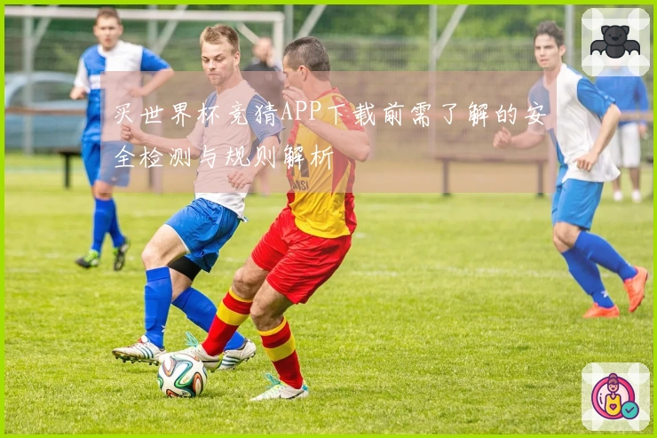 买世界杯竞猜APP下载前需了解的安全检测与规则解析