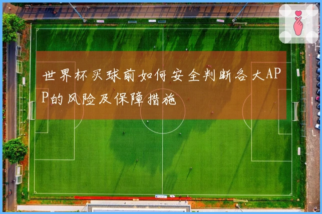 世界杯买球前如何安全判断各大APP的风险及保障措施