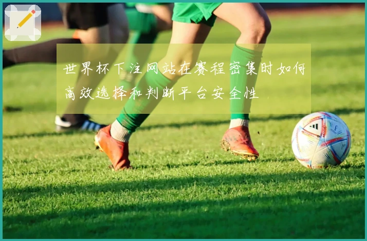 世界杯下注网站在赛程密集时如何高效选择和判断平台安全性