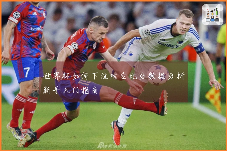 世界杯如何下注结合比分数据分析新手入门指南