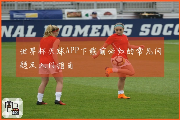 世界杯买球APP下载前必知的常见问题及入门指南