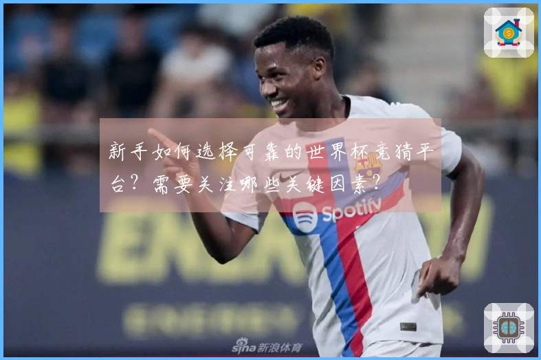 新手如何选择可靠的世界杯竞猜平台？需要关注哪些关键因素？
