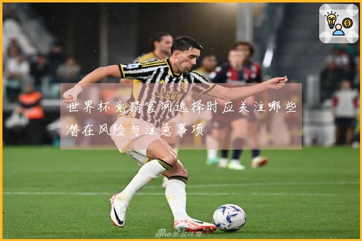 世界杯竞猜官网选择时应关注哪些潜在风险与注意事项