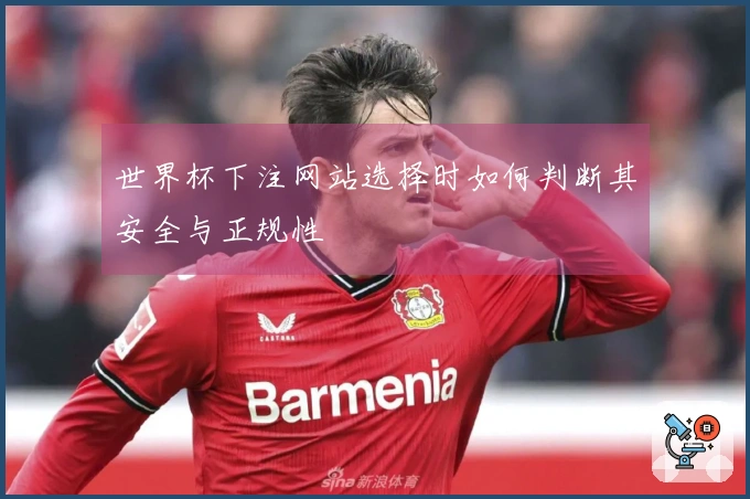 世界杯下注网站选择时如何判断其安全与正规性
