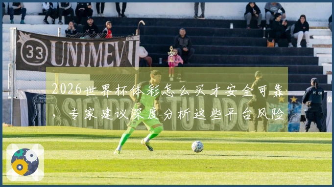 2026世界杯体彩怎么买才安全可靠，专家建议深度分析这些平台风险