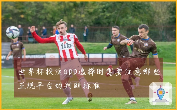 世界杯投注app选择时需要注意哪些正规平台的判断标准