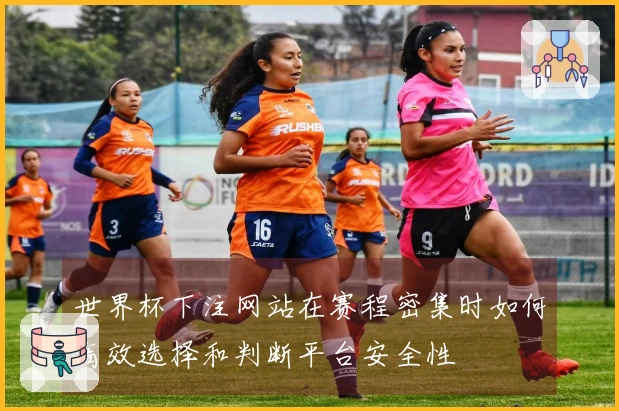 世界杯下注网站在赛程密集时如何高效选择和判断平台安全性