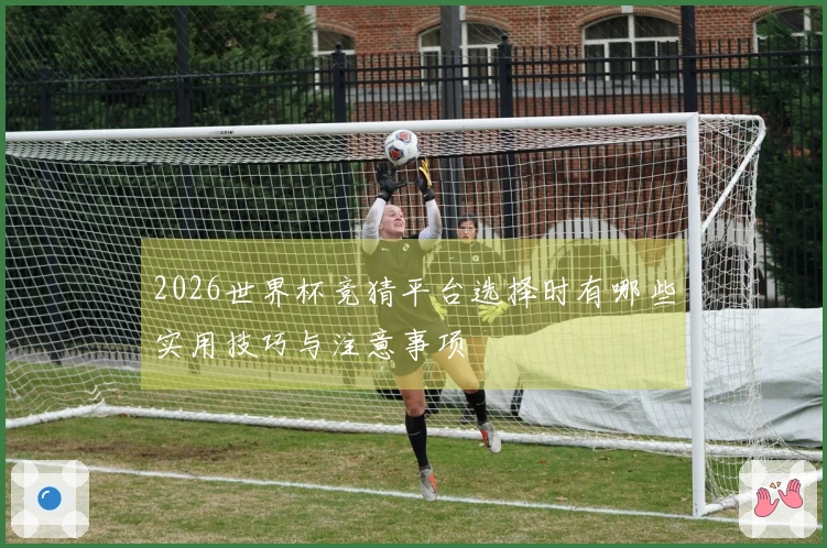2026世界杯竞猜平台选择时有哪些实用技巧与注意事项