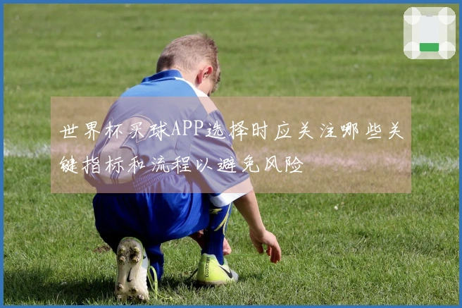 世界杯买球APP选择时应关注哪些关键指标和流程以避免风险