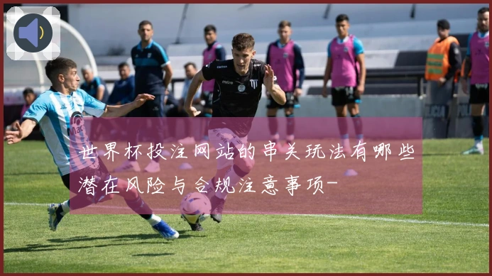 世界杯投注网站的串关玩法有哪些潜在风险与合规注意事项-