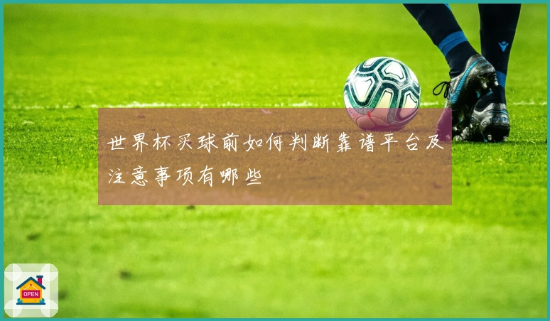 世界杯买球前如何判断靠谱平台及注意事项有哪些