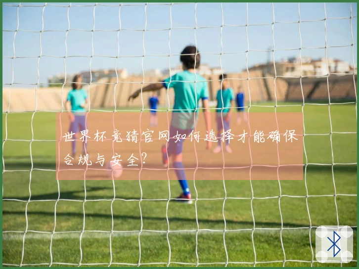 世界杯竞猜官网如何选择才能确保合规与安全？
