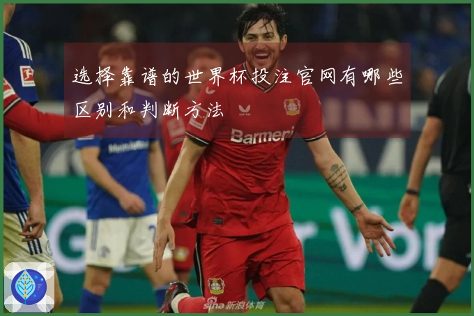 选择靠谱的世界杯投注官网有哪些区别和判断方法