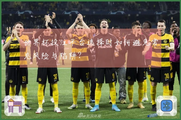 世界杯投注平台选择时如何避免常见风险与陷阱？
