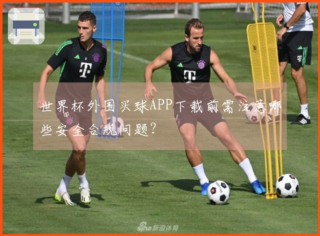 世界杯外围买球APP下载前需注意哪些安全合规问题？