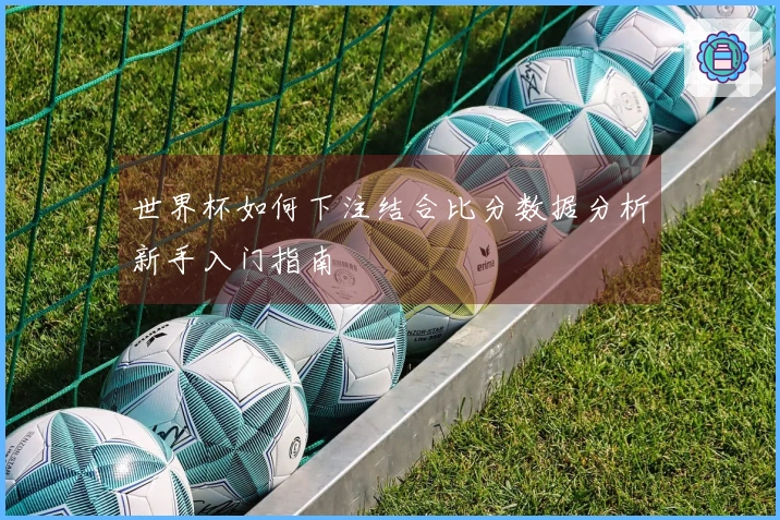 世界杯如何下注结合比分数据分析新手入门指南